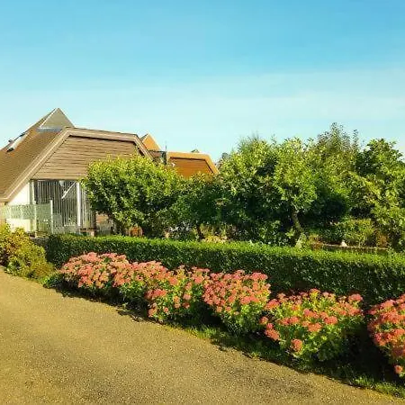 Lovely House Till 6 Pers. Near Amsterdam And Sea *